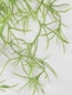 Preview: Tillandsienhaenger ca. 60cm gruen-geweisst